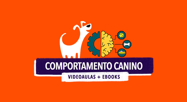 Curso online de Comportamento Canino da FitDog