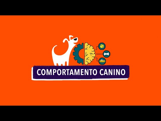 Apresentação do Curso de Comportamento Canino da FitDog